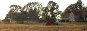 Spanaway, Washington Fall Scene