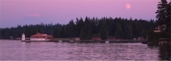 Tanglewood Island moonrise