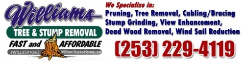 Williams Tree Removal and Stump Grinding Service, Gig Harbor, WA